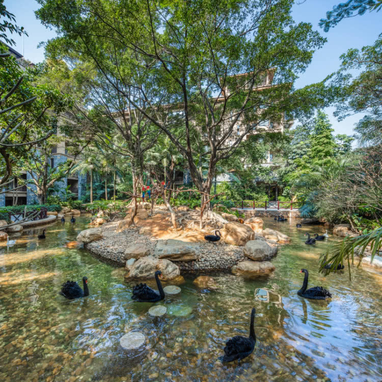 广州长隆酒店童趣乐园,广州游玩长隆性价比超高的酒店