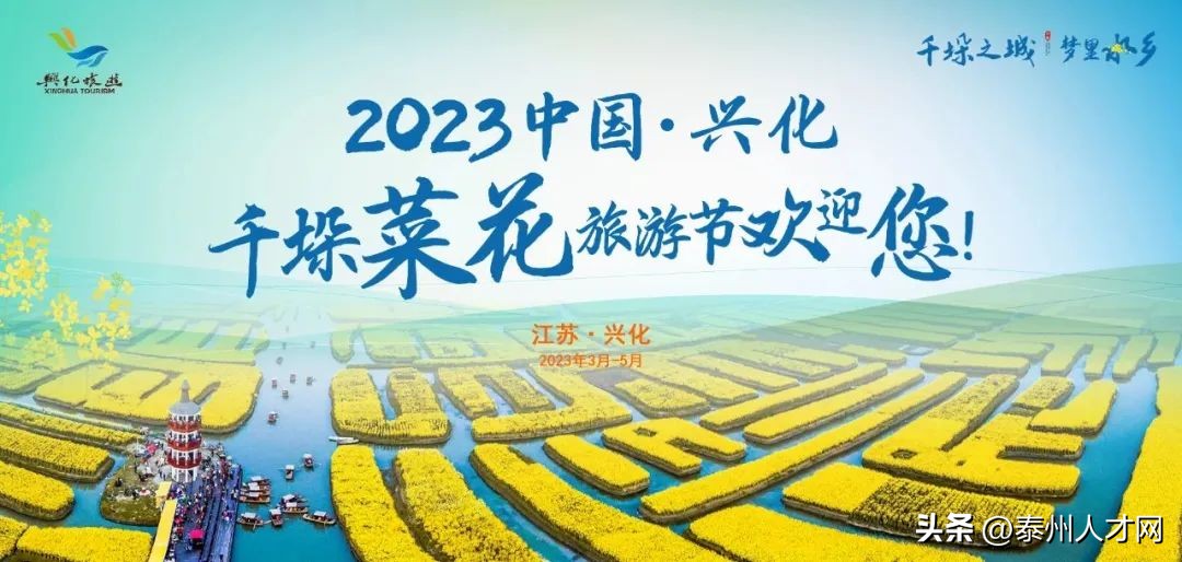 里下河国家湿地公园【李中水上森林公园】：解锁沉浸式旅游新玩法