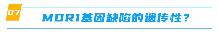 mdr1基因缺失什么意思,mdr1a怎么样