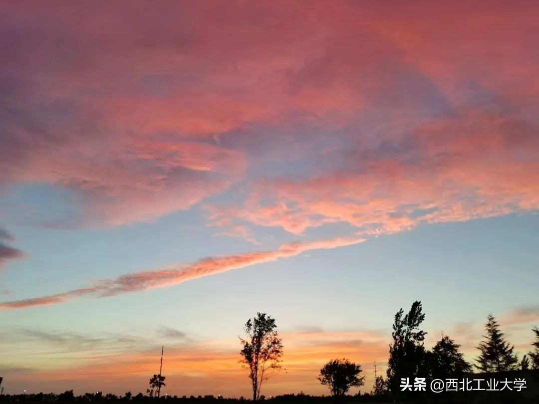 今日雨水!工大四季高清美图，欢迎欣赏使用~
