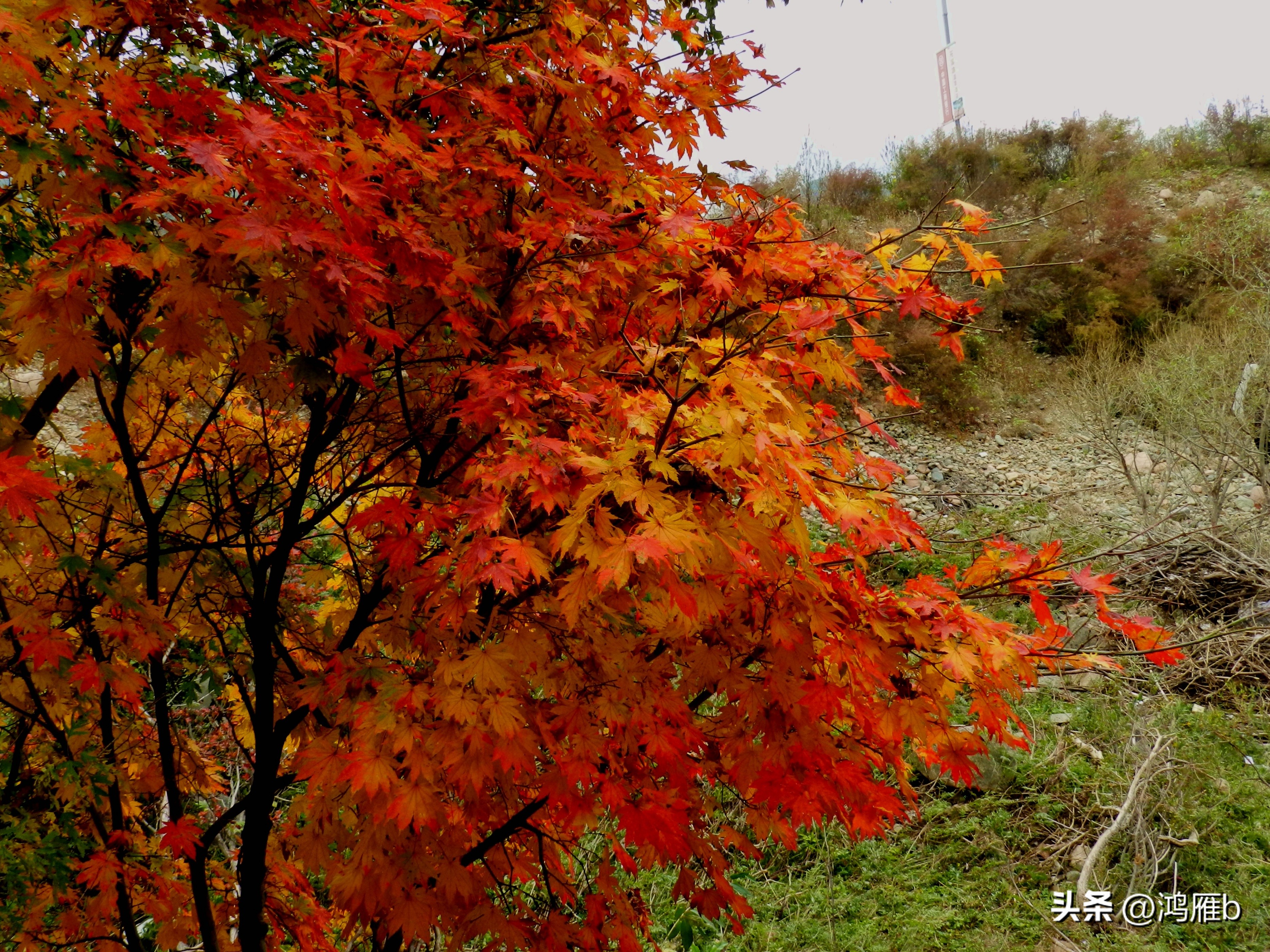 本溪温泉汤沟门票价格,本溪花溪沐枫雪温泉小镇
