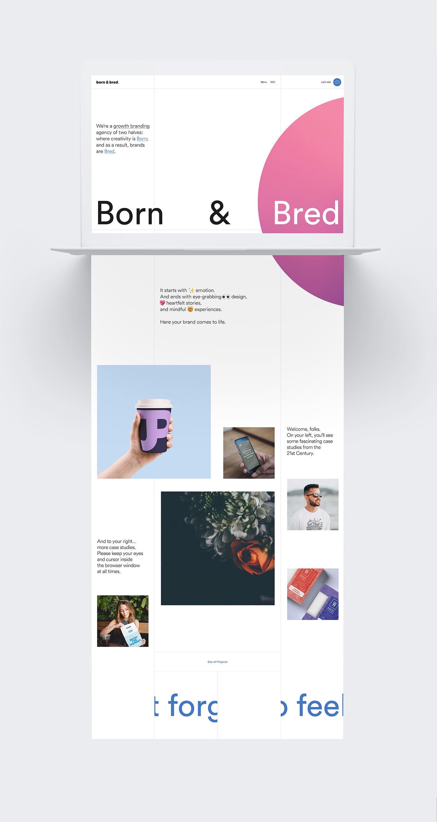 优秀网页设计国内,几款实用网页设计推荐