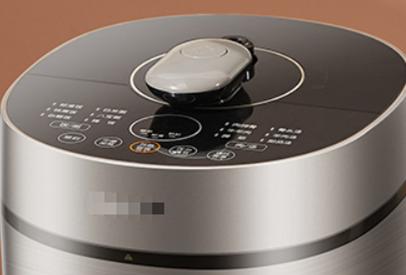 电压力锅，你怎么看？百花争芳的手柄（3-手柄篇）