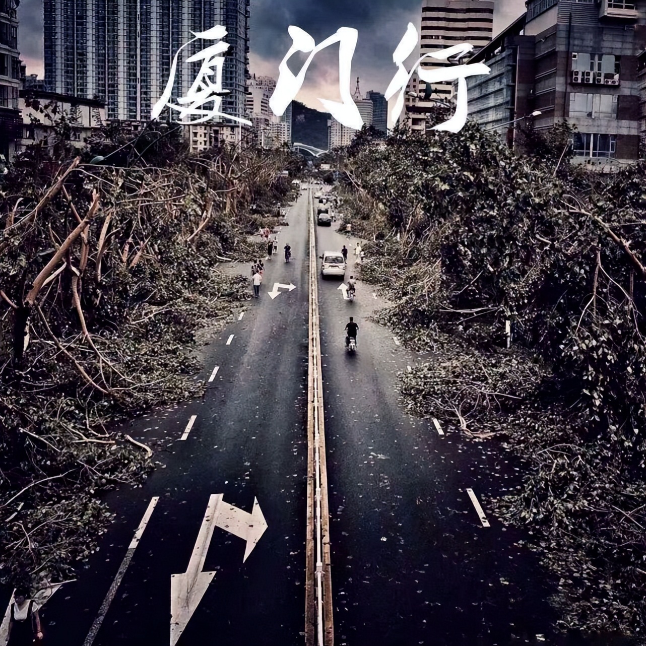 一家餐饮店,竟成了防洪抗台风先进单位