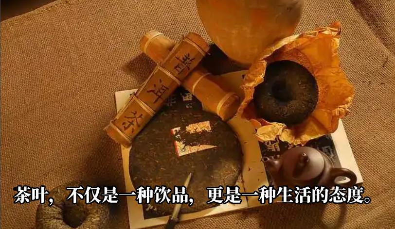 小法老沙拉维欧洲杯,沙拉维独造4球