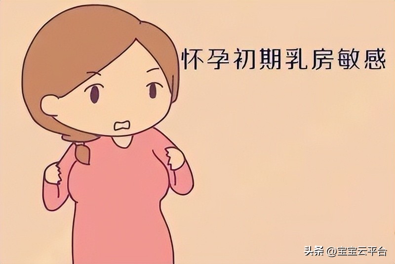 除了怀孕还有什么原因会导致恶心,孕早期孕吐是每天都有吗