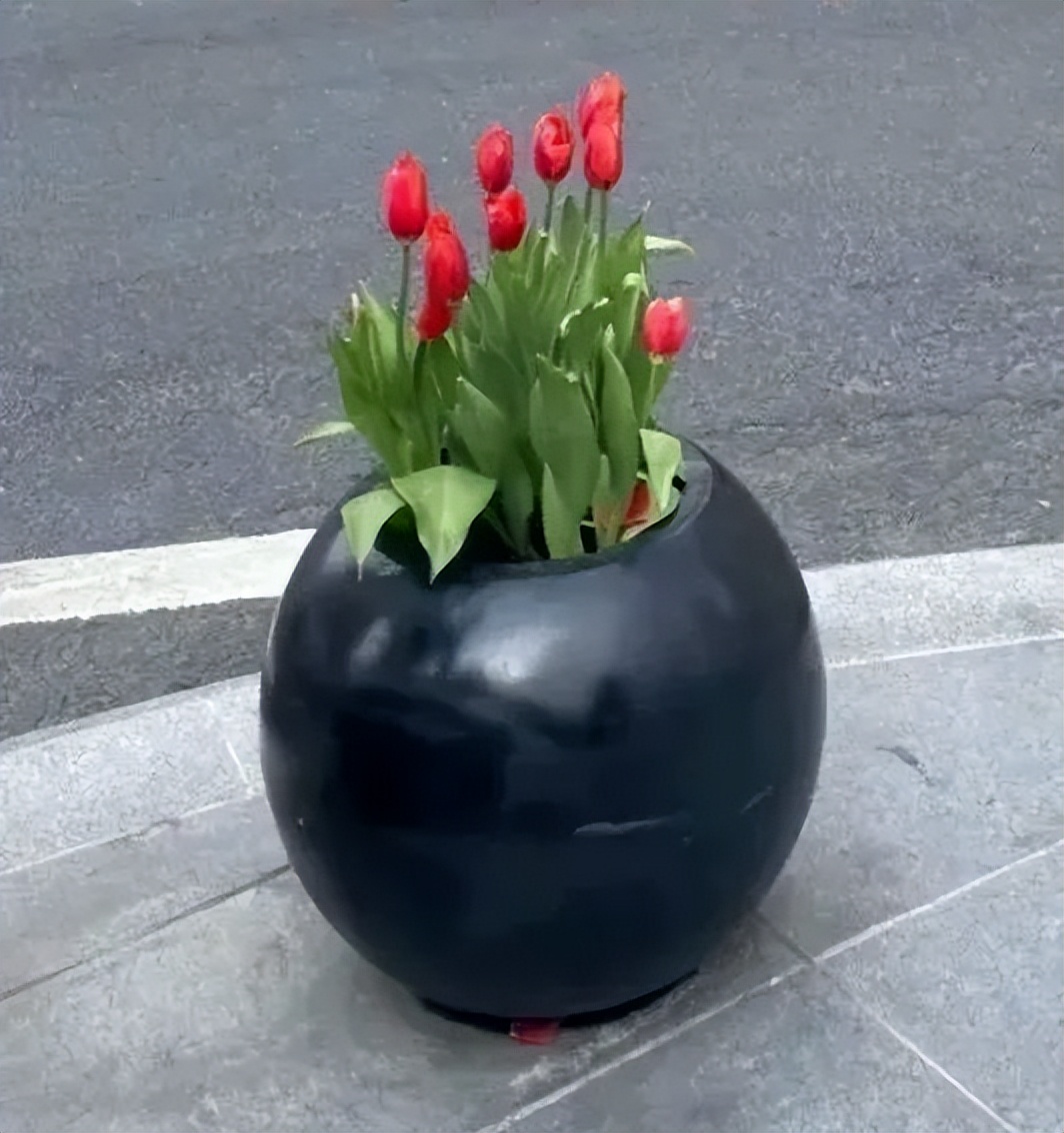 多次软色情被罚，这个App又出事了...