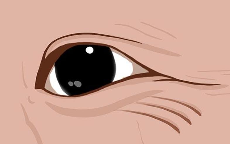 低压高危害和症状,年轻人血压低压高导致什么病