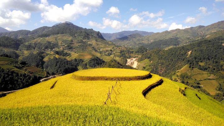 零成本赚钱的行业有哪些工作好做,有没有不用去上班就能赚钱的行业