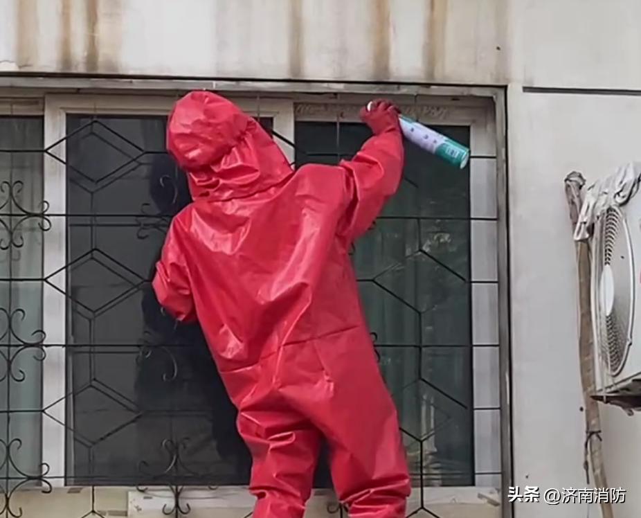 小区遇到“蜂”“蛇”别慌：绕开走，打119