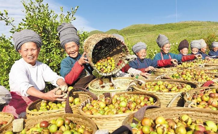 中央定调释放积极信号,农村将来的暴利行业会是什么