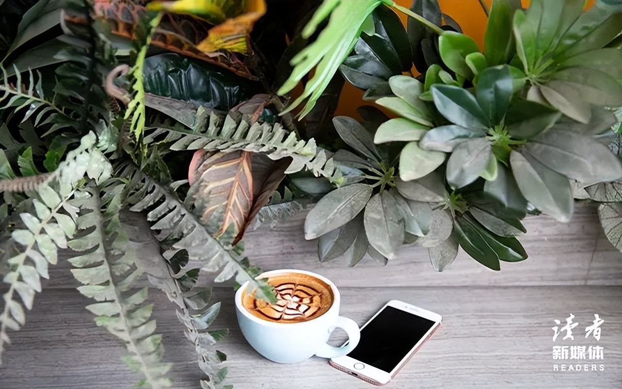 人这一生拼的是命吗,优秀的人都拥有破圈的能力