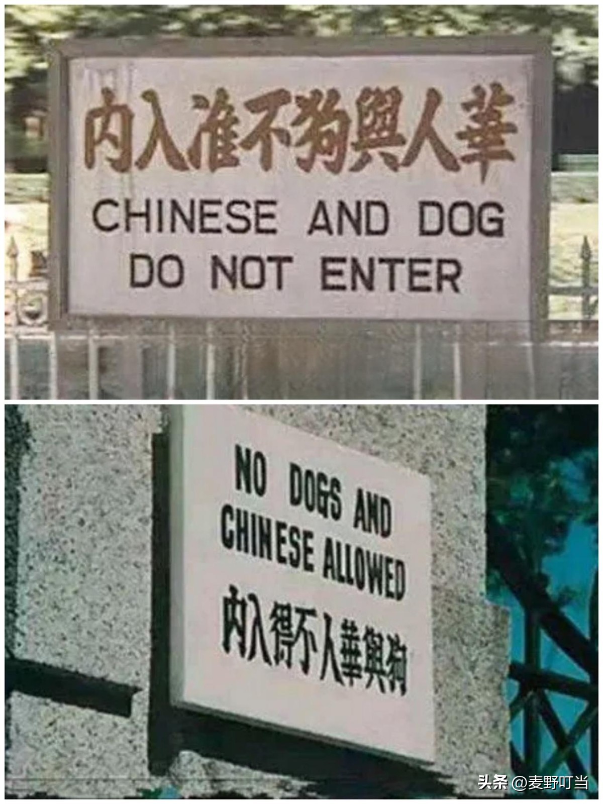 崇洋媚外早该狠刹了宝马的冰淇淋不吃也罢咱们自己买得起吃得起