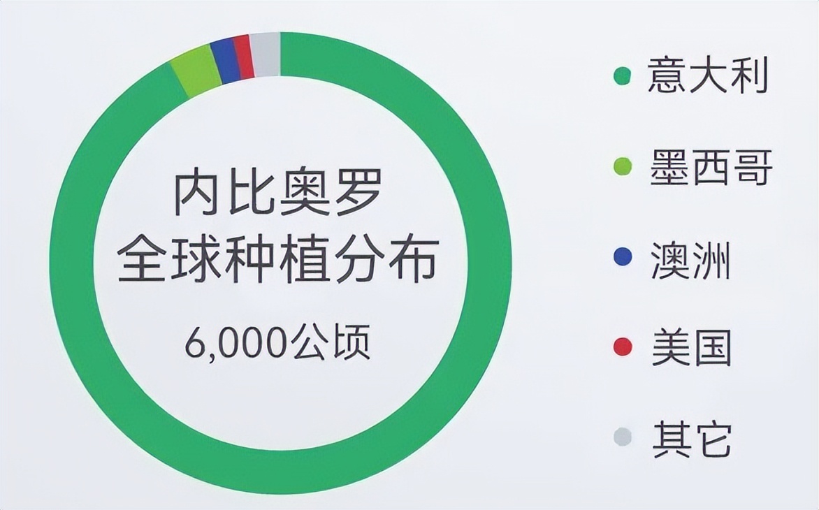 一分钟了解罗马教皇,一分钟了解意大利