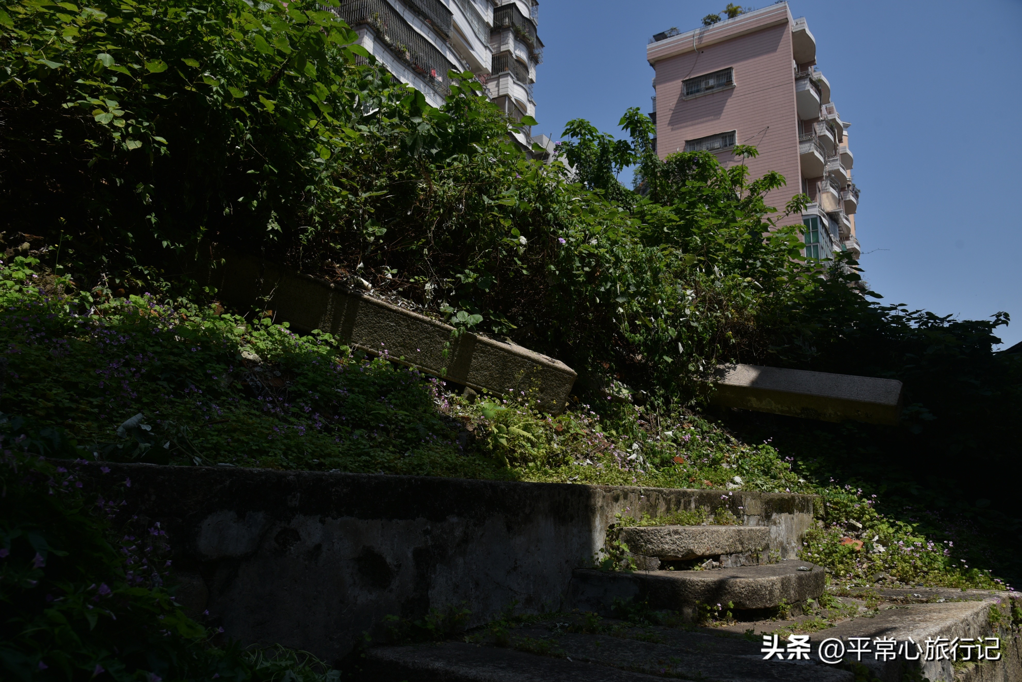 狂飙江门取景地打卡旧厂街,江门三十三墟街景点介绍