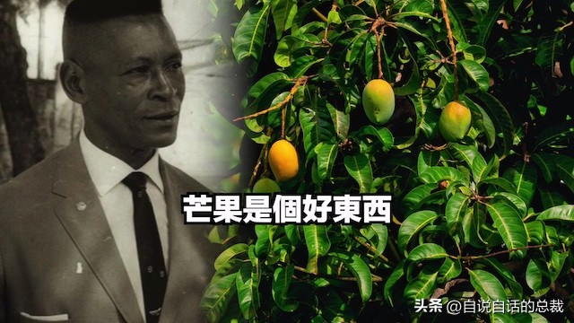 桑巴荣耀足球,桑巴舞者球王贝利