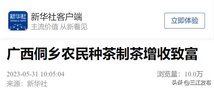 【媒体看三江】新华社聚焦三江：侗乡农民种茶制茶增收致富
