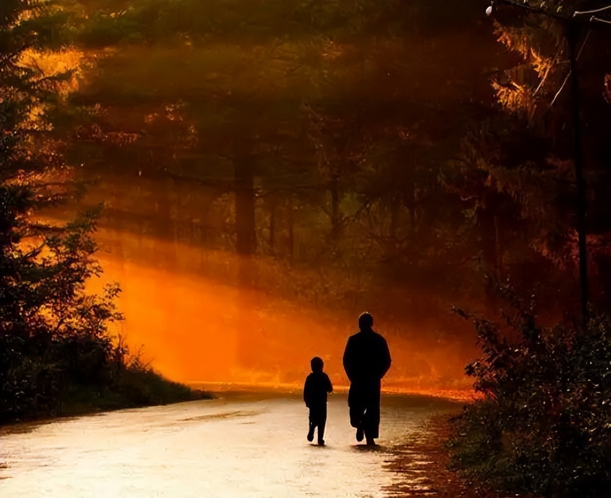 感觉一个人很有生命力,觉得一个人很厉害怎么形容