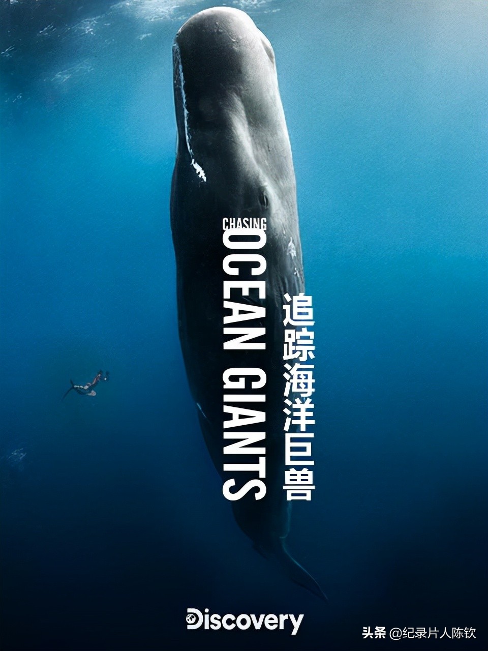 「新春收藏」一键可看风靡全网的年度十*纪大**录片