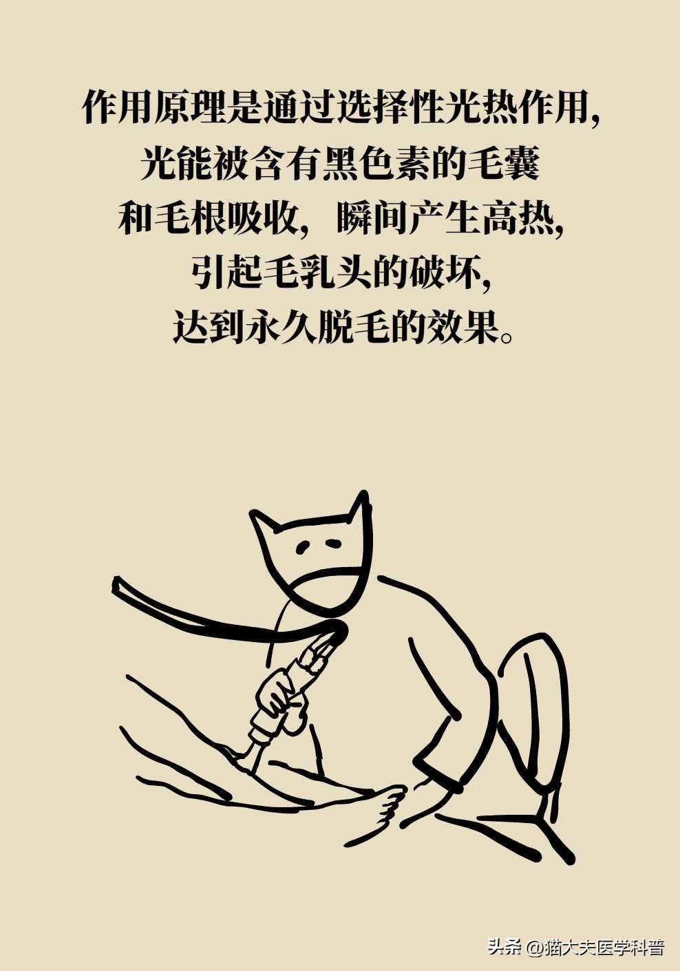 日本男士全身永久激光脱毛,激光永久脱毛一般多少钱