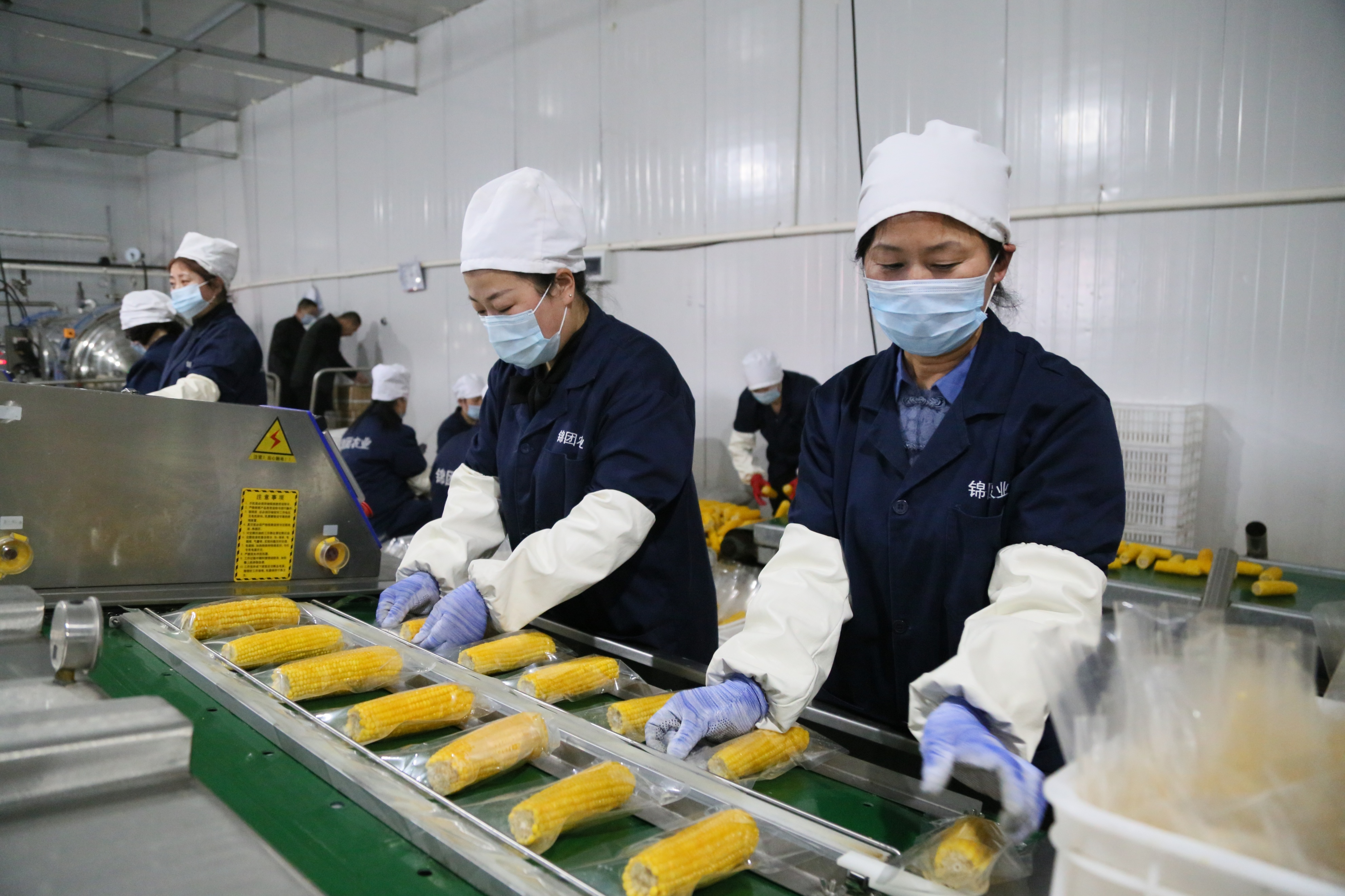 黑龙江宝清县：奋力打造东北样板绘乡村振兴壮美画卷