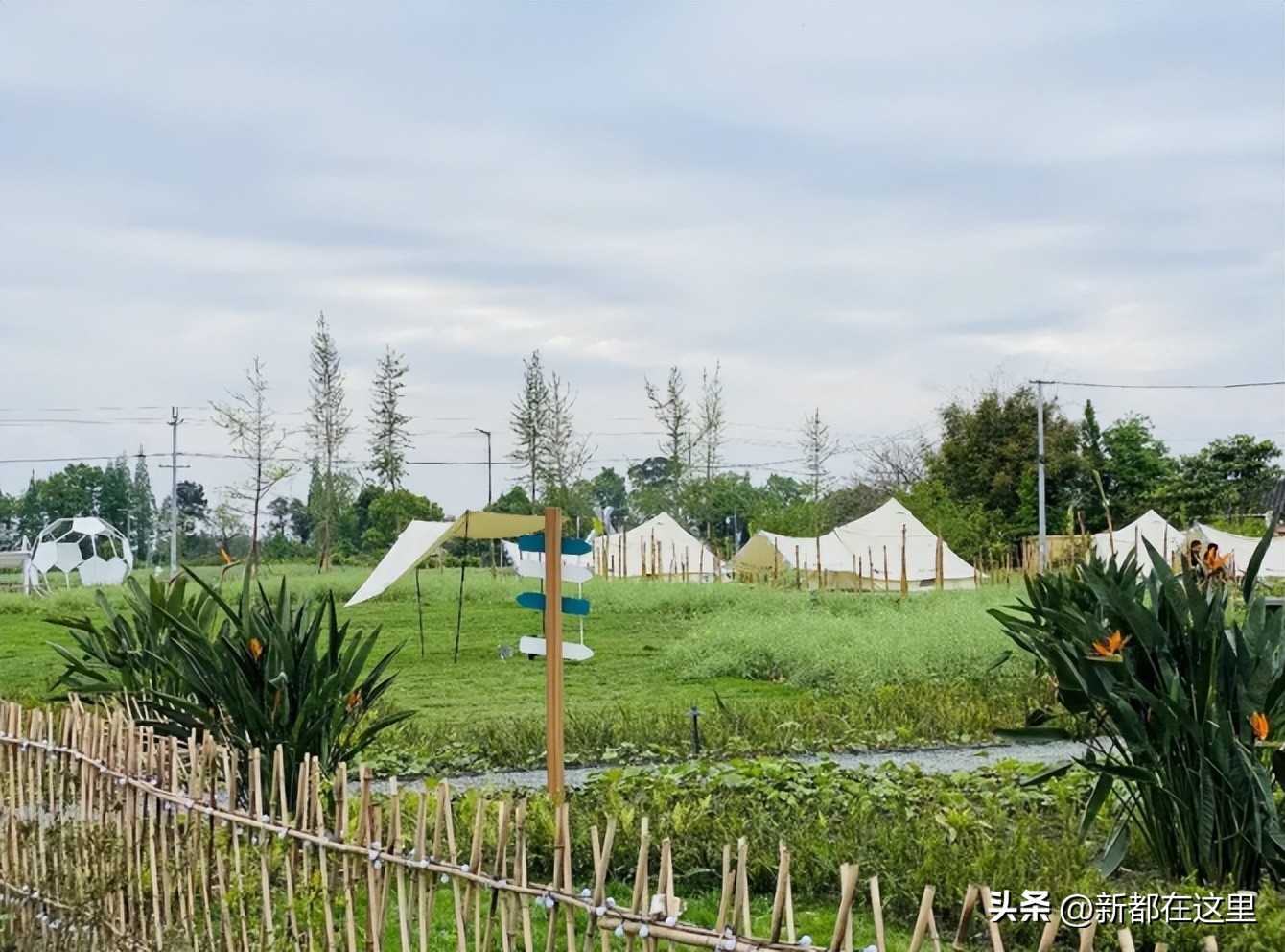成都坝坝足球,成都踢坝坝足球