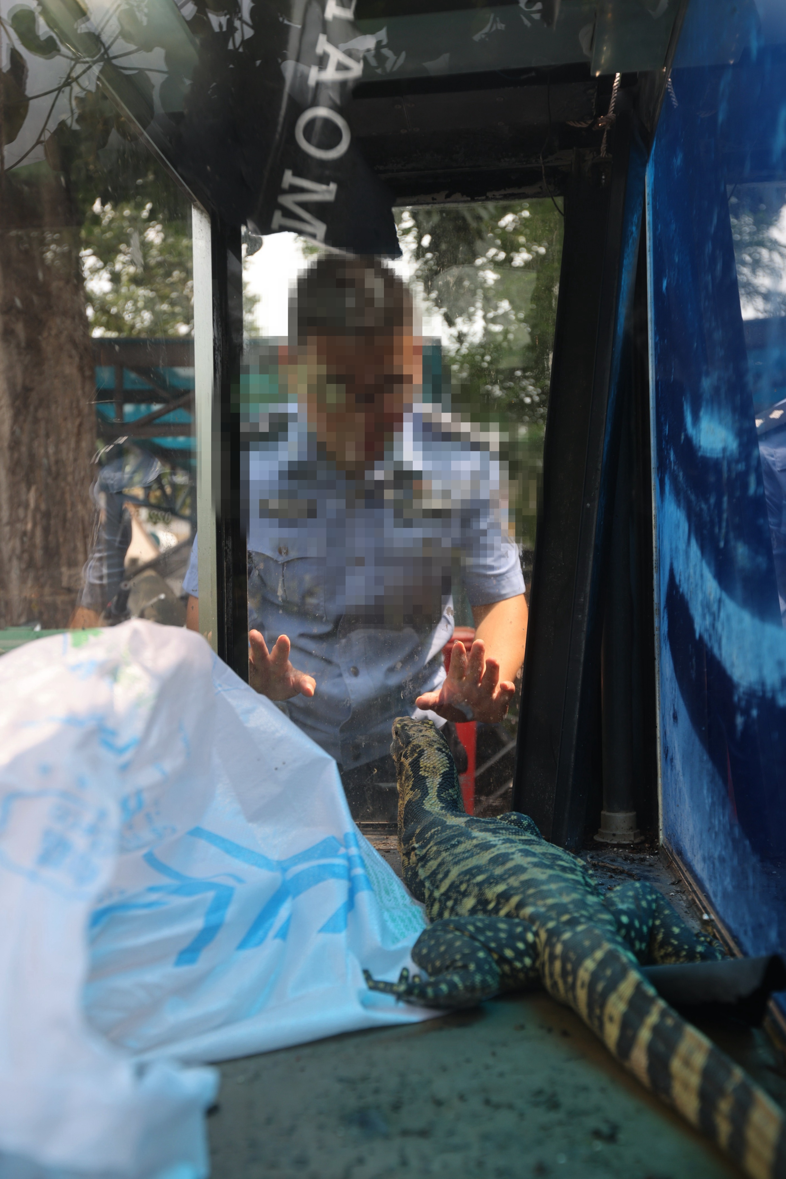 消防员抓蜥蜴视频,广西男子家房顶出现巨大蜥蜴