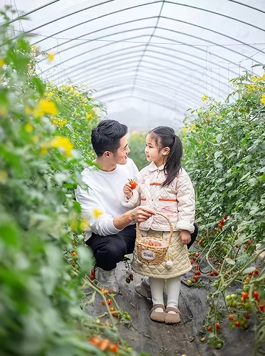 鼓浪屿可以当天预订船票攻略 (鼓浪屿还有免费的船票吗)