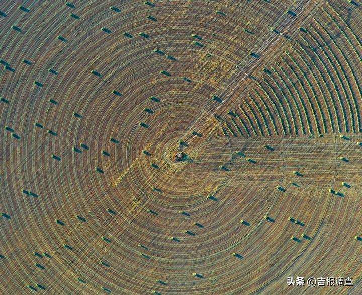 古城粮丰季，仓廪俱盈实！洮南市迈入全省前十产粮大县行列