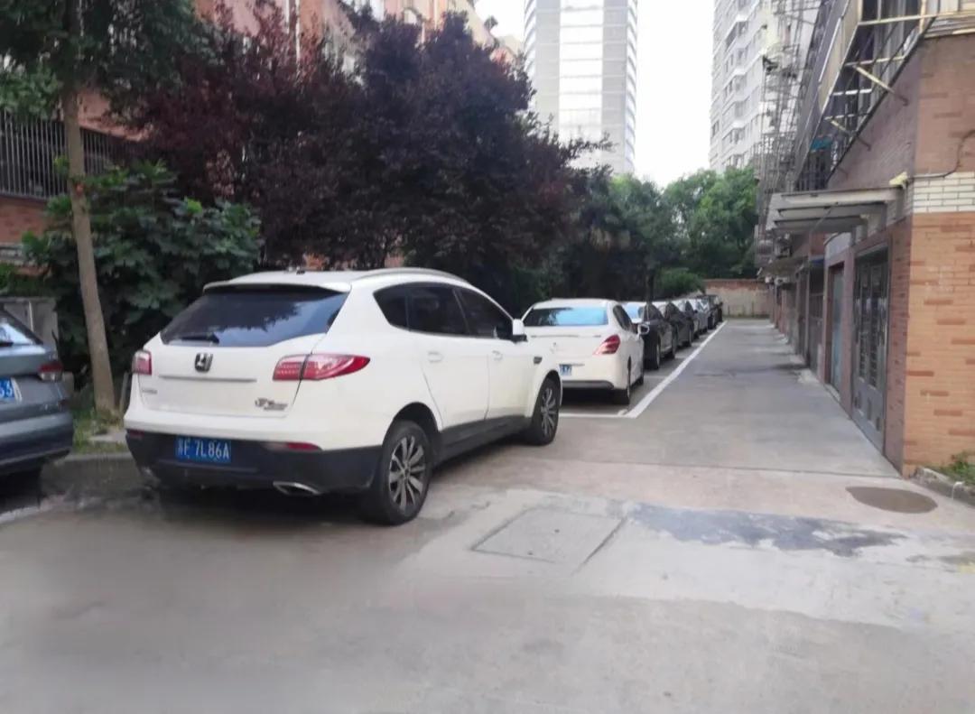 小区业主成立业委会想搞物业,小区业主成立业委会有必要吗