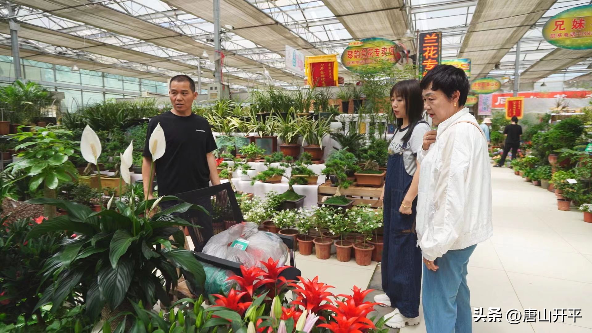 优化营商环境打造公平有序的市场,优化营商环境培育壮大市场主体