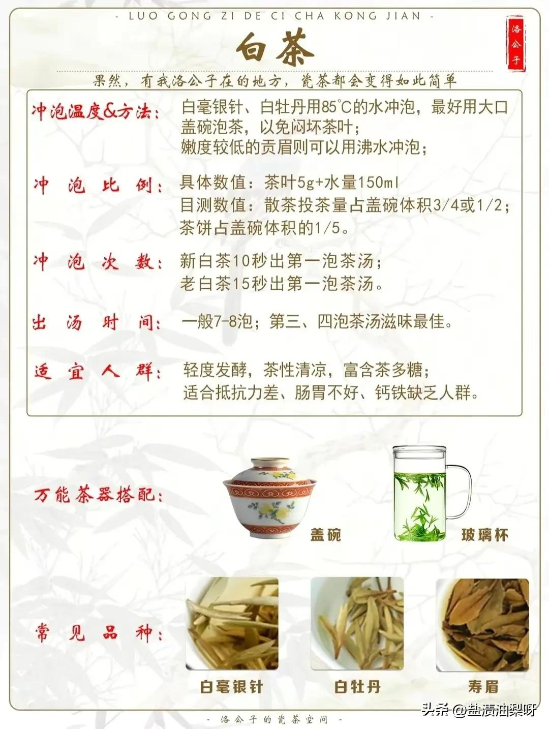 绿雪芽金砖茶怎样泡好喝,茶颜悦色的茶包怎么泡才好喝