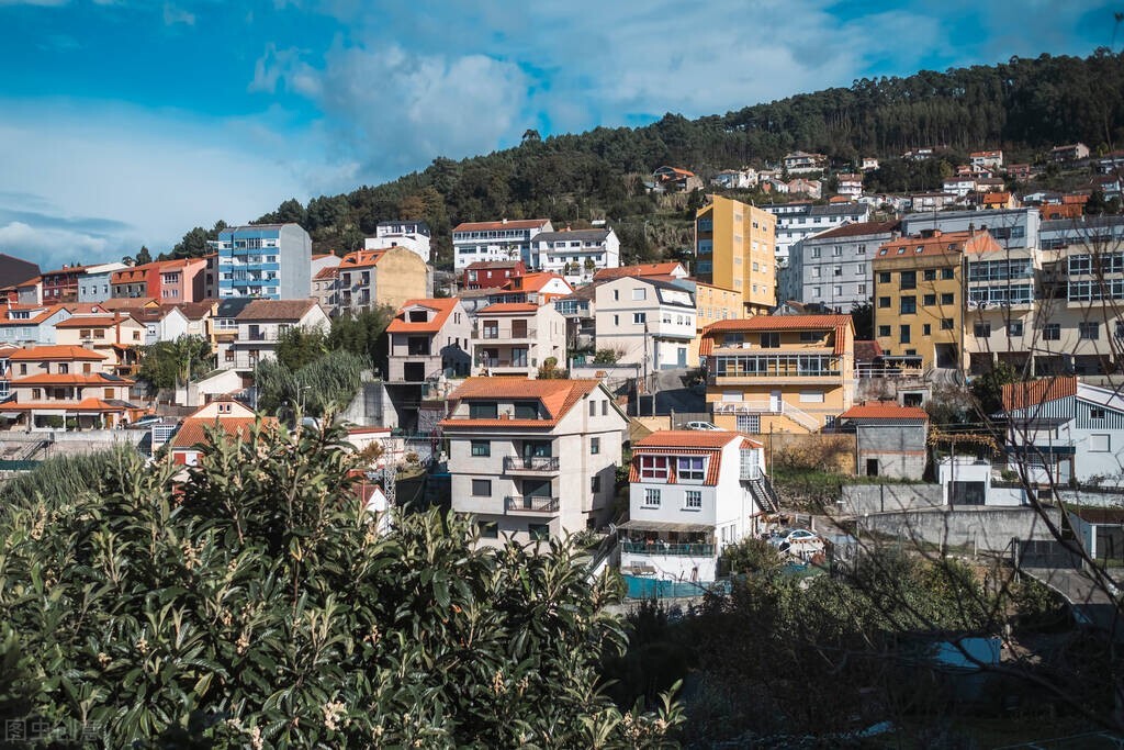 西班牙移民项目流程,西班牙新移民种类介绍图