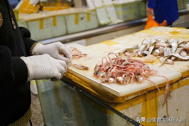 探秘美食记,探秘海鲜美食