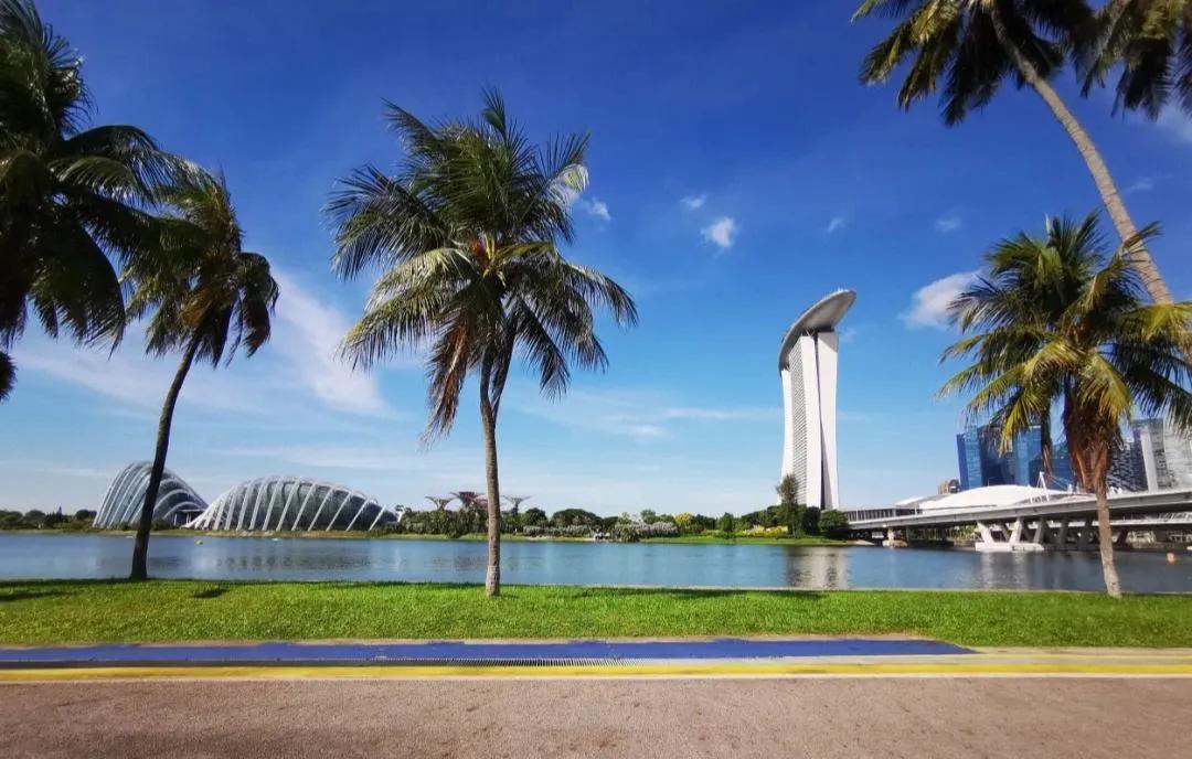 如何轻松拿新加坡PR？两种低门槛方式对比！