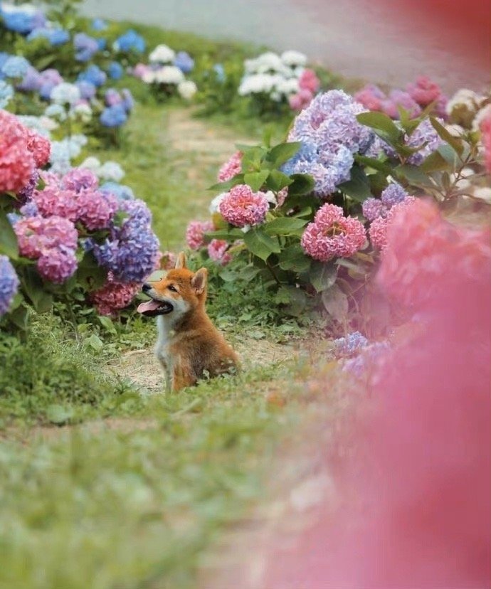 心理学缺爱的女生表现,缺爱的女生在恋爱中的表现