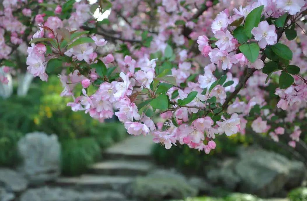 关于春装的高级文案,春装上新文案短句