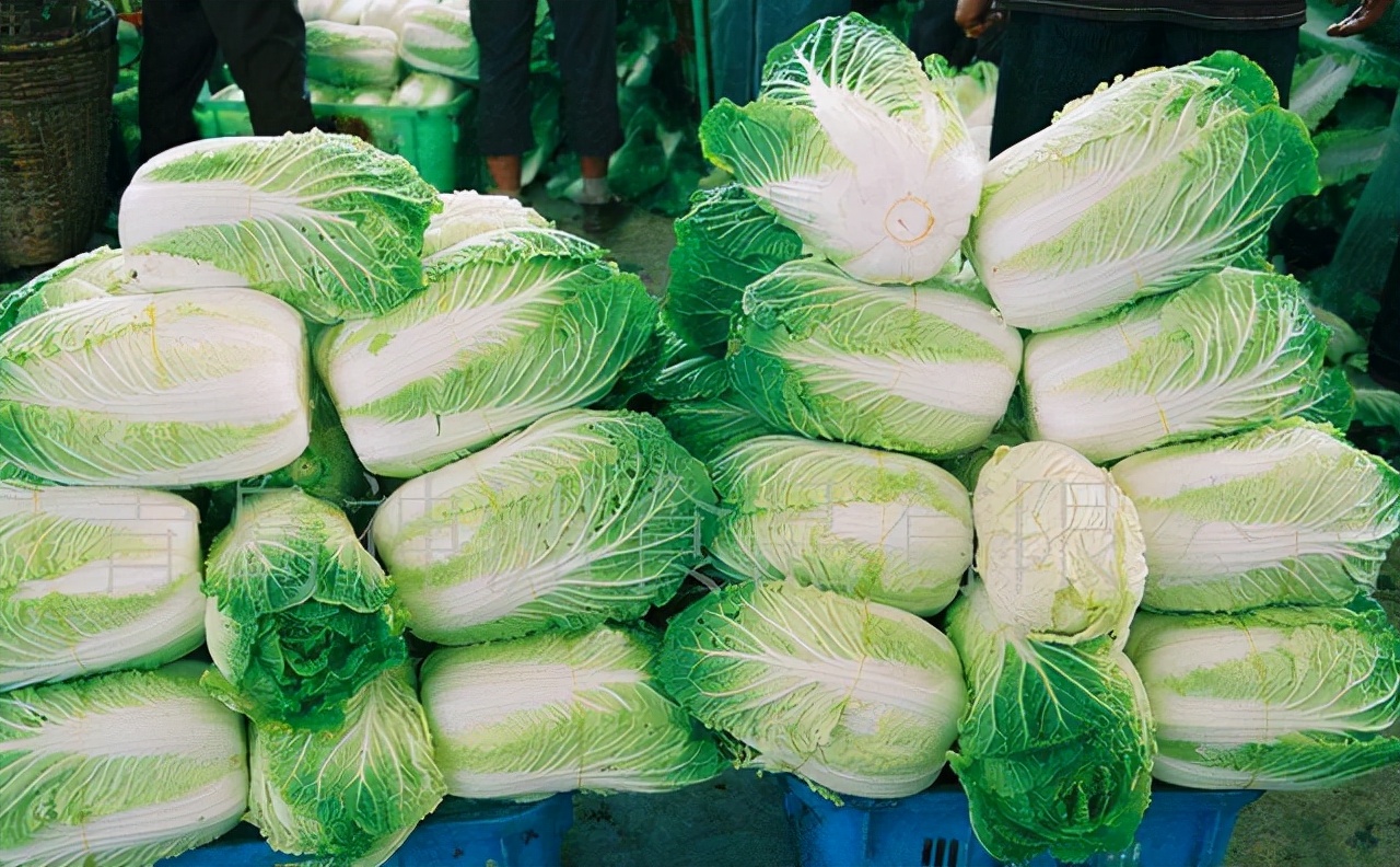 如何检测白菜是否喷洒了甲醛,喷过甲醛的白菜