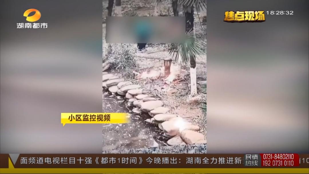 小区反复停电来电烧坏电器,老是停电原来是楼下邻居拉电闸