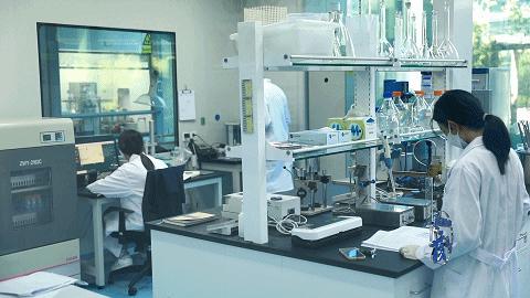 科创中心“核”动力｜纳通集团：26年“内外兼修”，做中国医疗健康领域领跑者