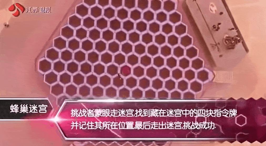 最强的大脑到底有多难,最强大脑八季目前谁最强