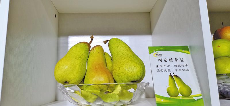 杨凌农高会农业产业园,渭南乡村振兴农产品展销会