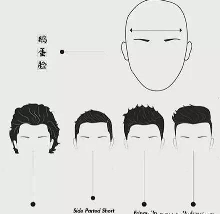 脸型配发型特效,发型匹配脸型软件