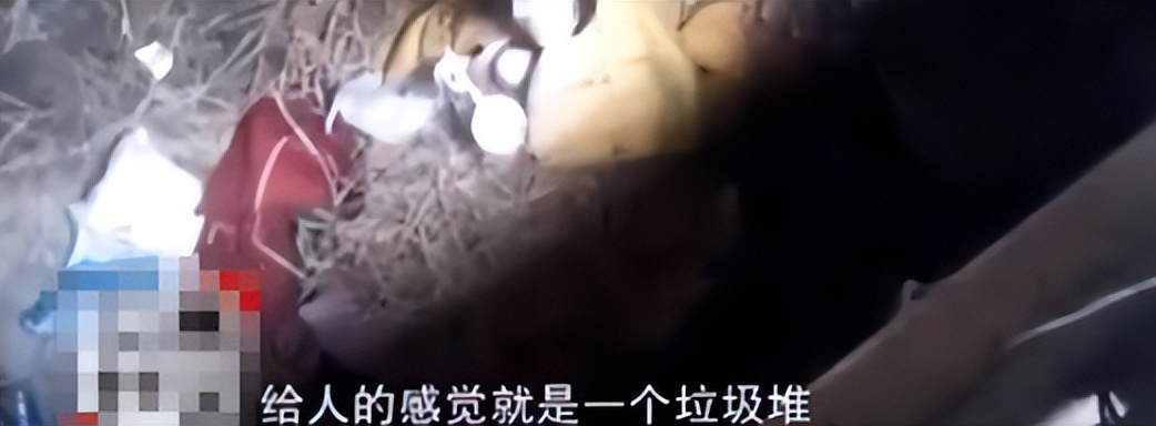 24岁校花被囚禁5年背后原因,24岁校花被囚禁5年原因