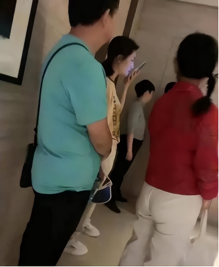 刘德华说谢娜脑筋有问题原视频,康辉刘德华评价谢娜