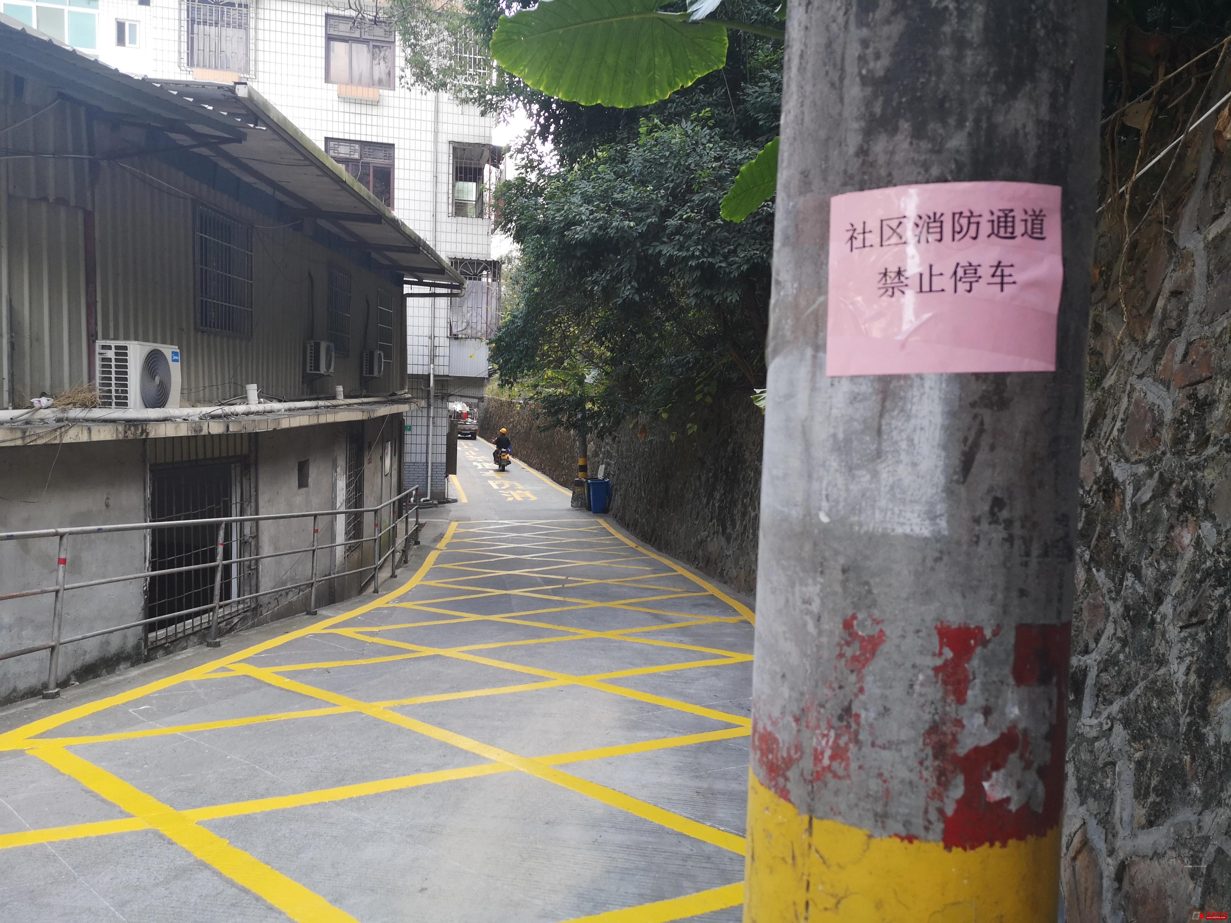 榫欏博娑堥槻鐢熷懡閫氶亾,榫欏博娑堥槻閫氶亾