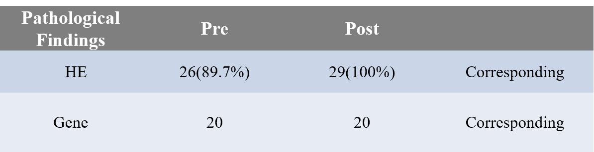 肺高危磨玻璃结节怎么治疗最好,肺磨玻璃结节影微创手术