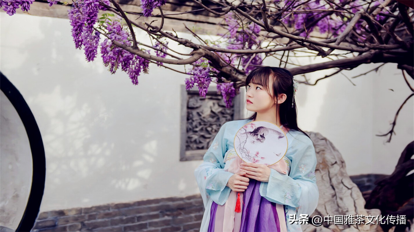 岁月与时光感悟人生,惊艳回眸的时光