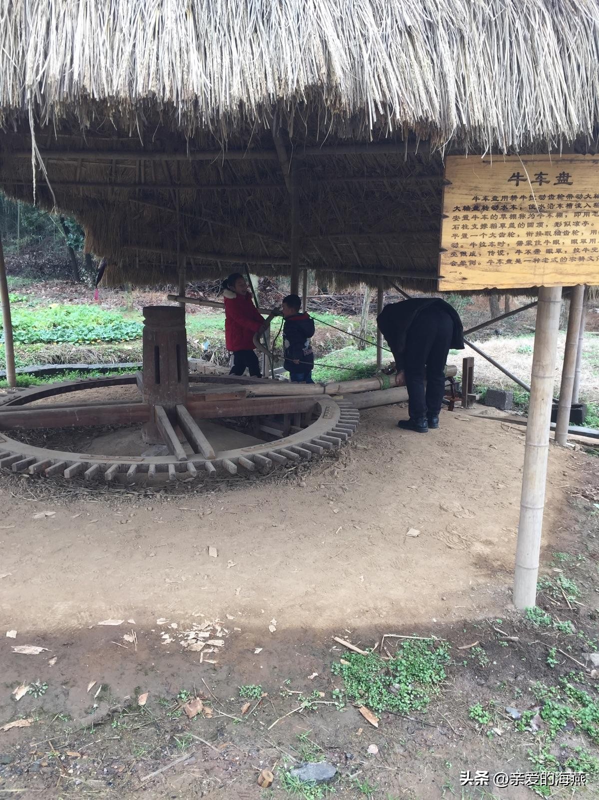 农村常见的12种老物件,农村上辈人当宝的8种老物件