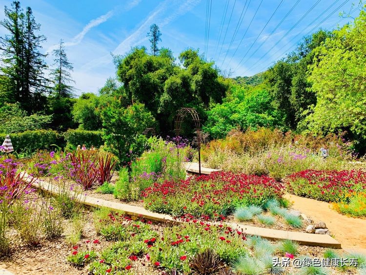 世界花园风景,世界花园